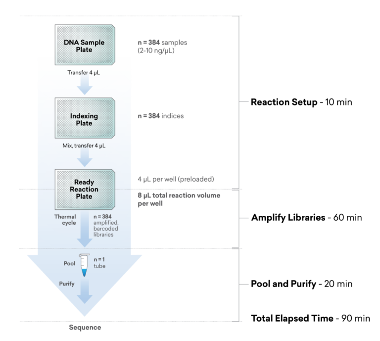 ExpressPlex-384-WFG-1-1024x918