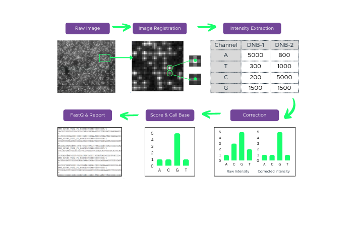 Base Calling Algorithm