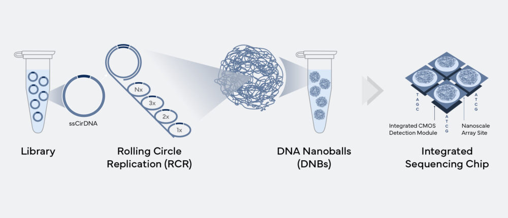 E25 Features with DecodeScience
