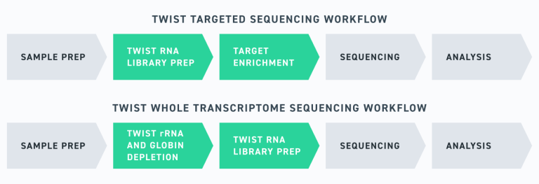 RNA Sequencing