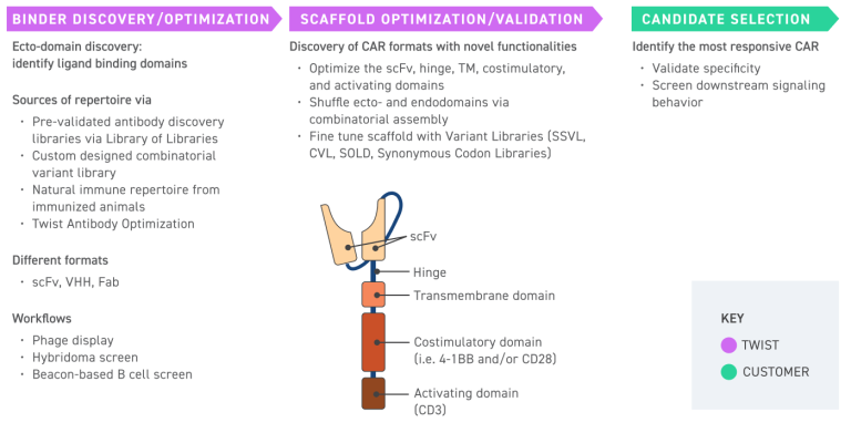T Cell Receptor (TCR) Discovery workflow using Combinatorial Assembly Libraries