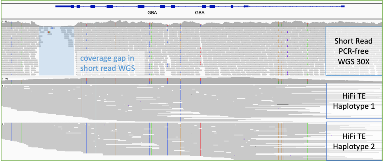 Twist Alliance Dark Genes Panel