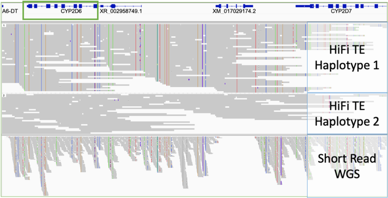 Twist Alliance Long-Read PGx Panel