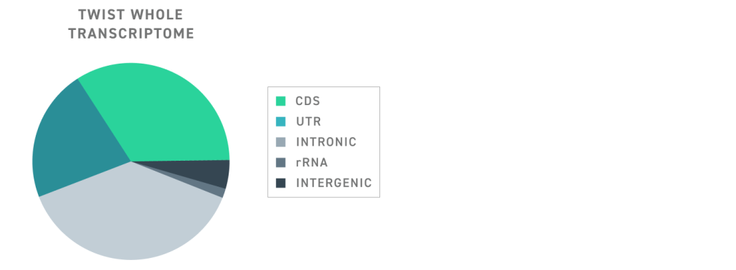 Twist Whole Transcriptome Sequencing Workflow