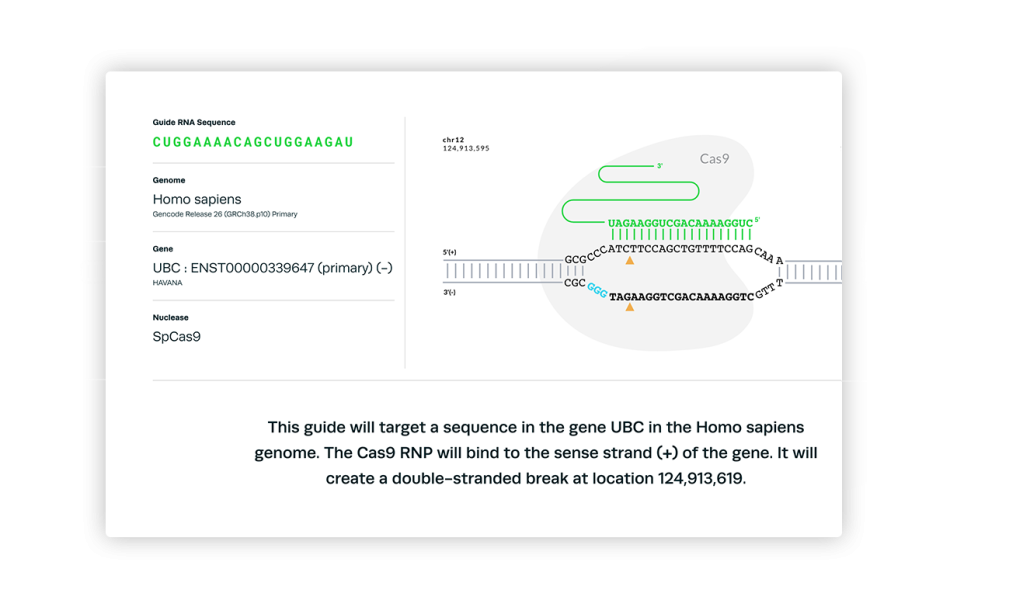 Evaluate the design of any guide