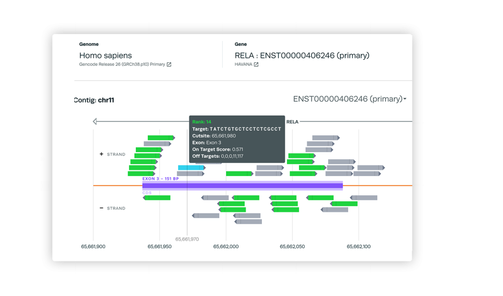 Smart design of guide RNAs