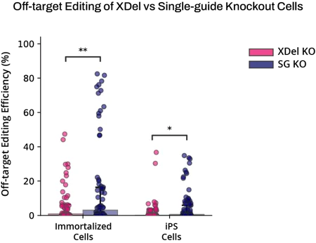 Off target Editing of XDel vs Single Guide Knockout cells
