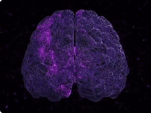 Organ Research - STOmics