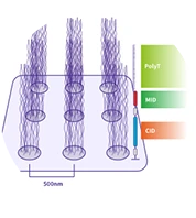 Stere-seq Chip - STOmics